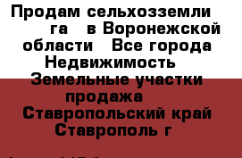 Продам сельхозземли ( 6 000 га ) в Воронежской области - Все города Недвижимость » Земельные участки продажа   . Ставропольский край,Ставрополь г.